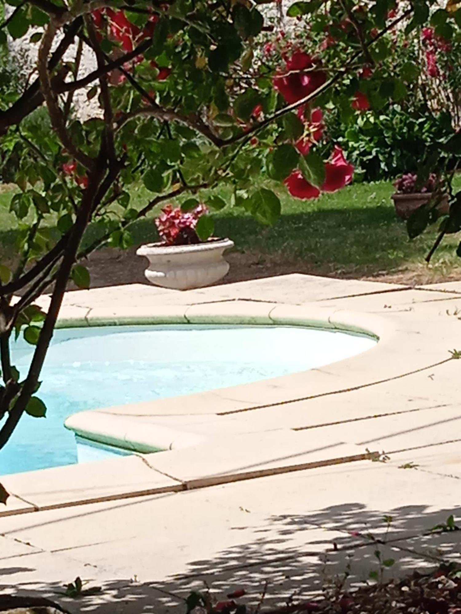 Bed and Breakfast Coucouhirondelle Brux Esterno foto